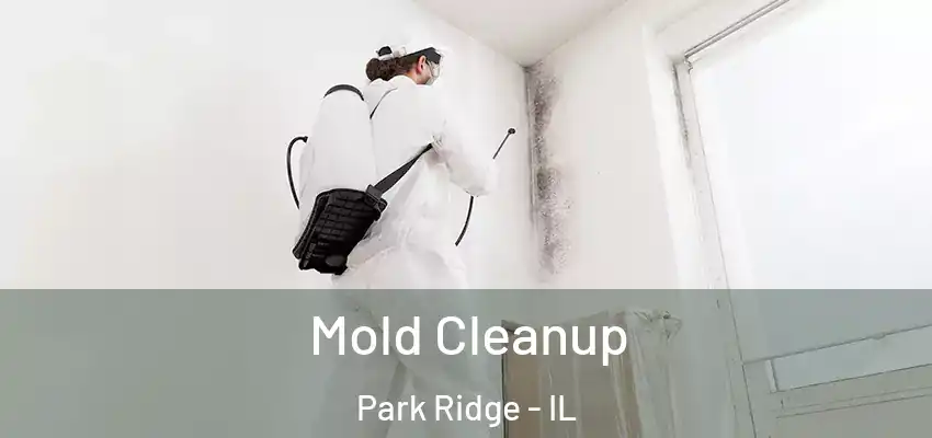 Mold Cleanup Park Ridge - IL