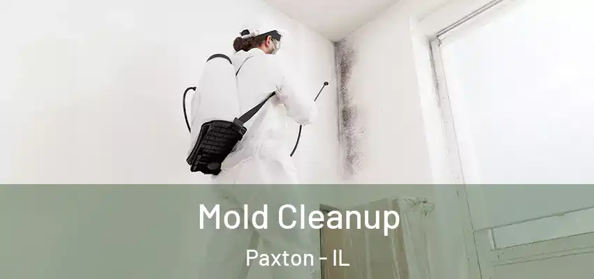 Mold Cleanup Paxton - IL