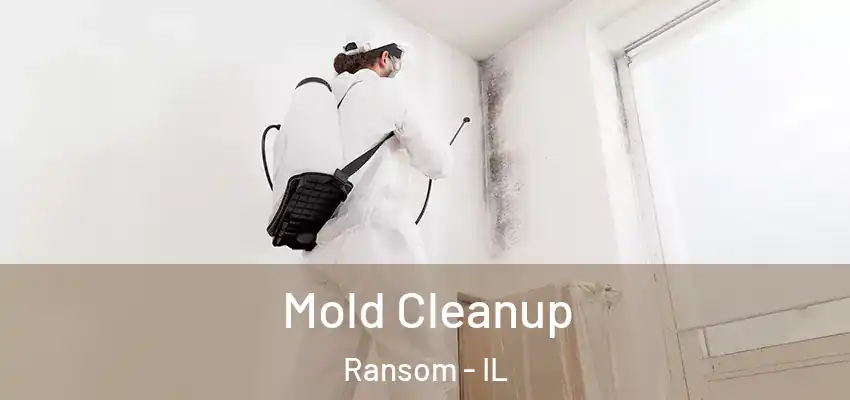  Mold Cleanup Ransom - IL