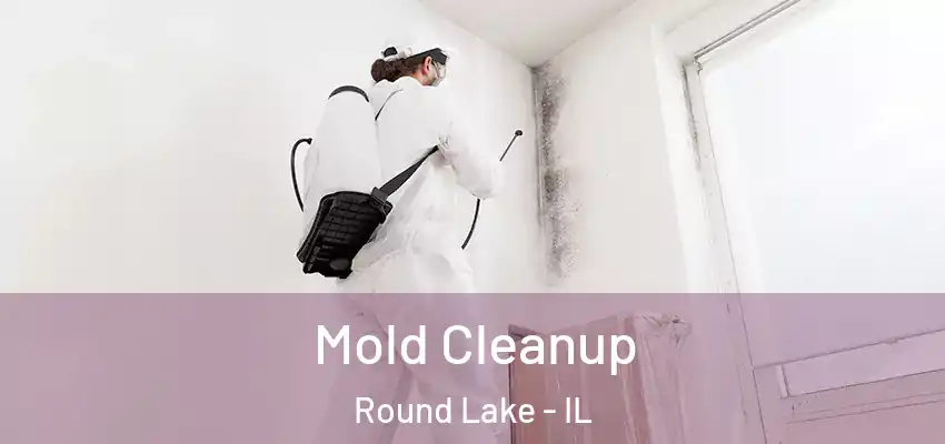  Mold Cleanup Round Lake - IL