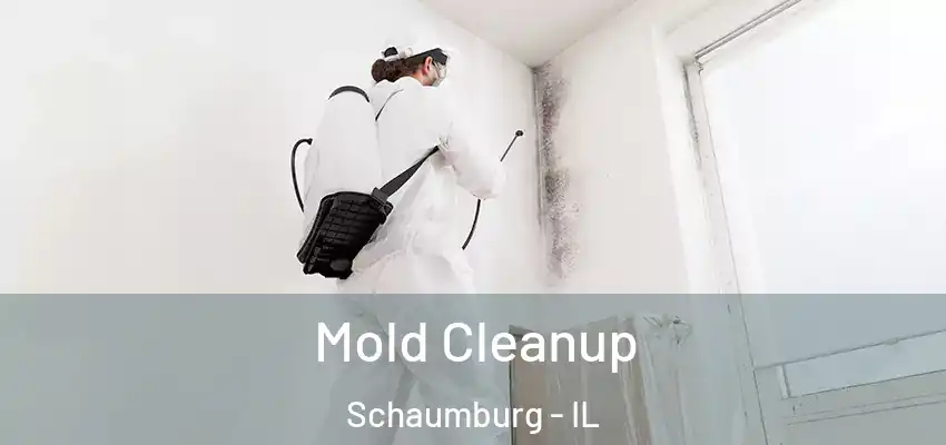  Mold Cleanup Schaumburg - IL