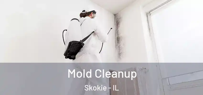 Mold Cleanup Skokie - IL