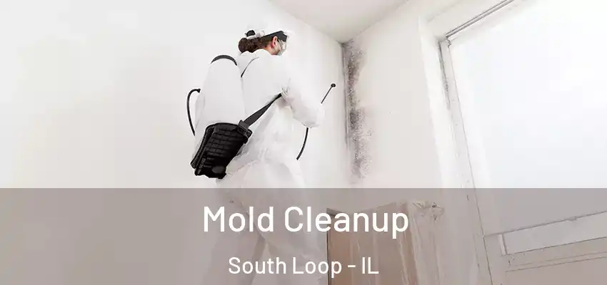 Mold Cleanup South Loop - IL