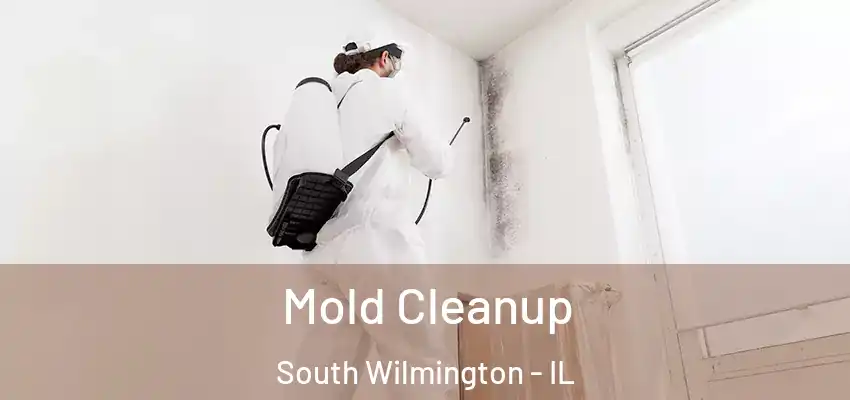 Mold Cleanup South Wilmington - IL