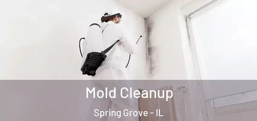  Mold Cleanup Spring Grove - IL