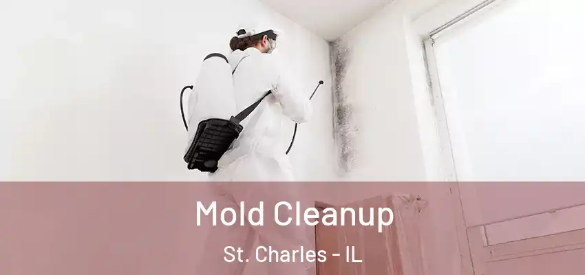  Mold Cleanup St. Charles - IL