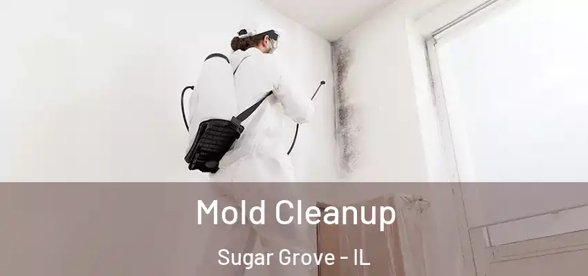 Mold Cleanup Sugar Grove - IL