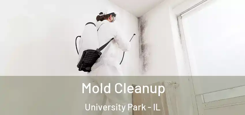  Mold Cleanup University Park - IL