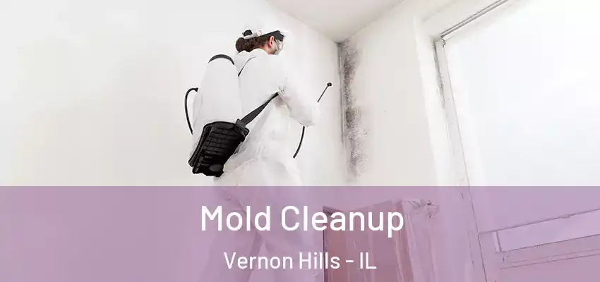 Mold Cleanup Vernon Hills - IL