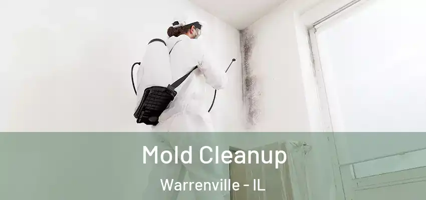  Mold Cleanup Warrenville - IL