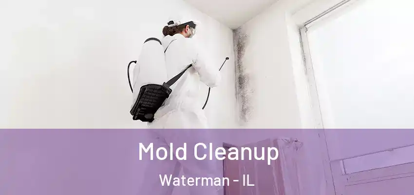  Mold Cleanup Waterman - IL