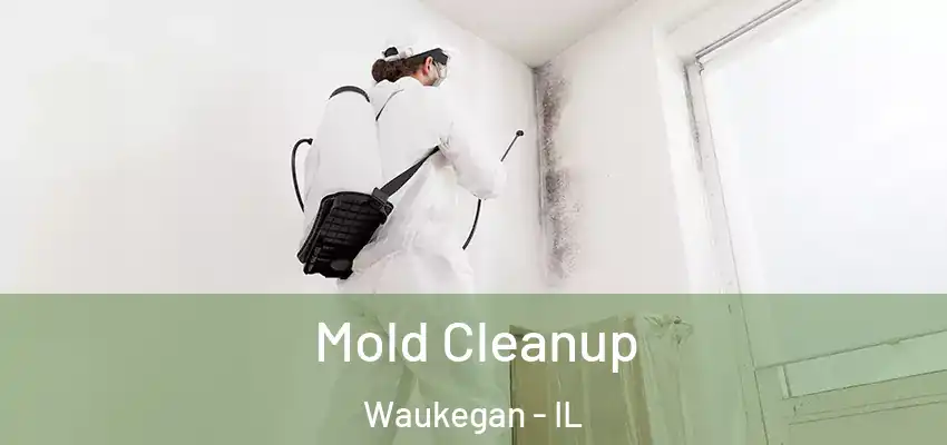  Mold Cleanup Waukegan - IL