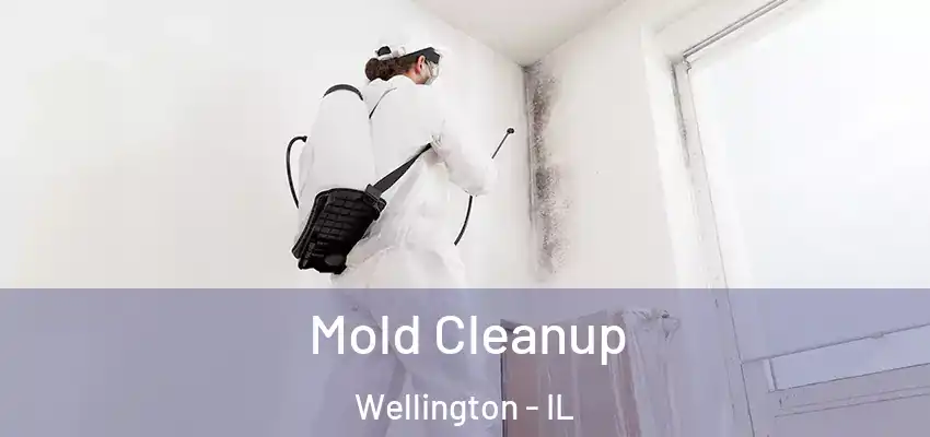 Mold Cleanup Wellington - IL