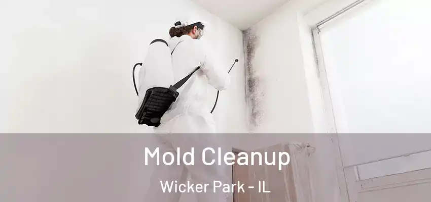  Mold Cleanup Wicker Park - IL