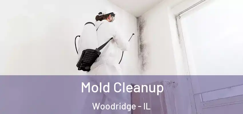Mold Cleanup Woodridge - IL