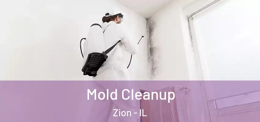 Mold Cleanup Zion - IL