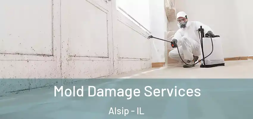  Mold Damage Services Alsip - IL