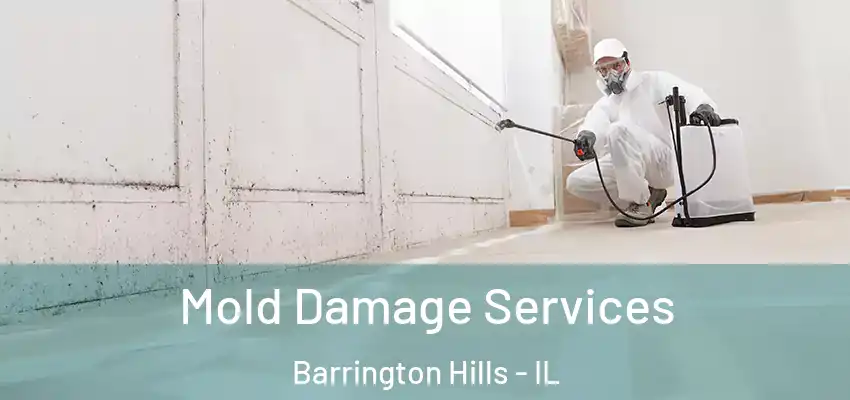  Mold Damage Services Barrington Hills - IL