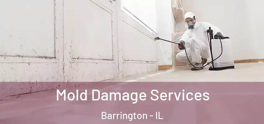  Mold Damage Services Barrington - IL