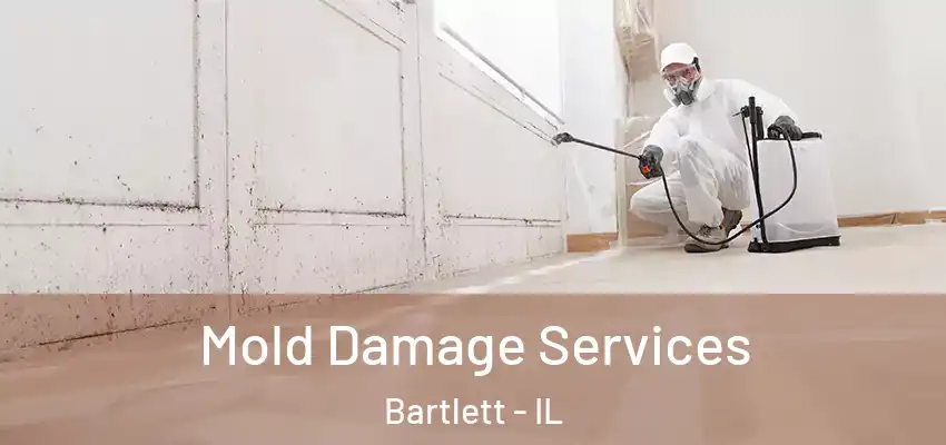 Mold Damage Services Bartlett - IL