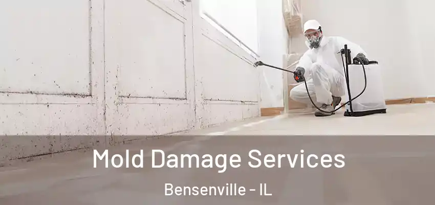 Mold Damage Services Bensenville - IL