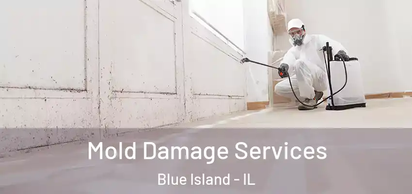 Mold Damage Services Blue Island - IL