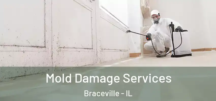  Mold Damage Services Braceville - IL