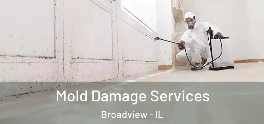  Mold Damage Services Broadview - IL
