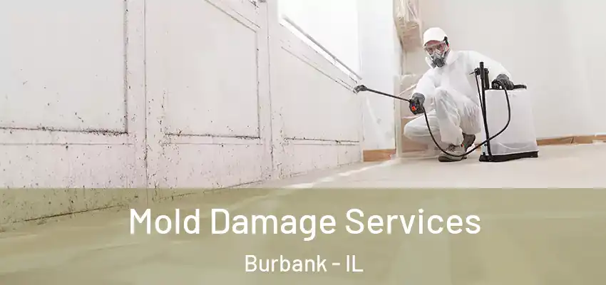  Mold Damage Services Burbank - IL