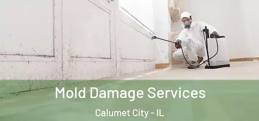Mold Damage Services Calumet City - IL