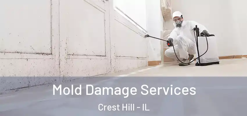  Mold Damage Services Crest Hill - IL