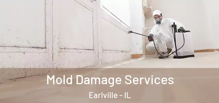 Mold Damage Services Earlville - IL