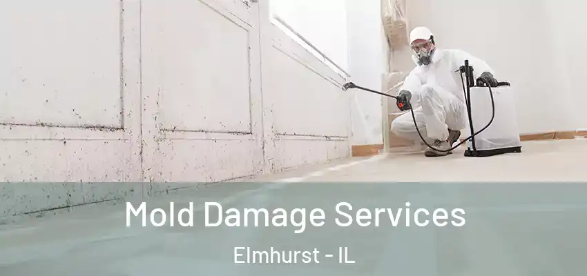  Mold Damage Services Elmhurst - IL