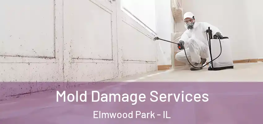 Mold Damage Services Elmwood Park - IL