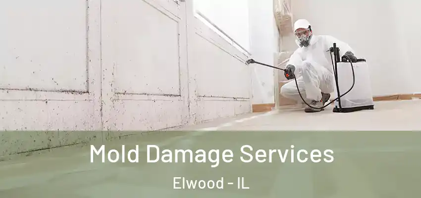  Mold Damage Services Elwood - IL