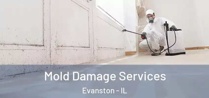  Mold Damage Services Evanston - IL