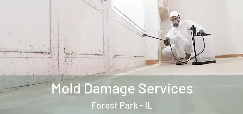  Mold Damage Services Forest Park - IL