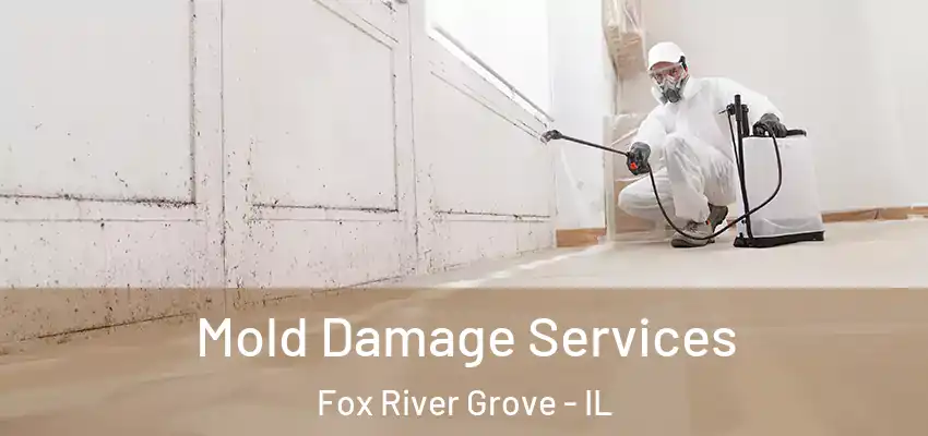 Mold Damage Services Fox River Grove - IL
