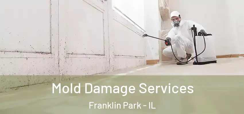 Mold Damage Services Franklin Park - IL