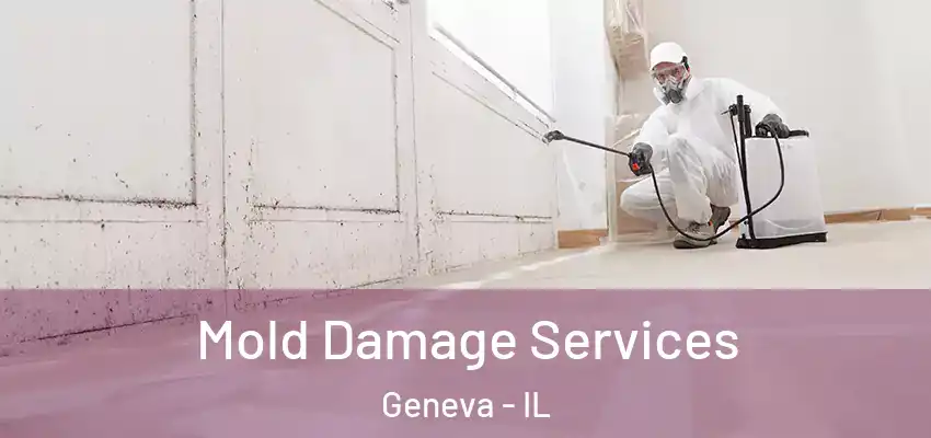 Mold Damage Services Geneva - IL