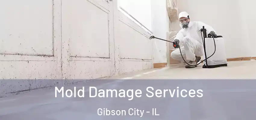 Mold Damage Services Gibson City - IL