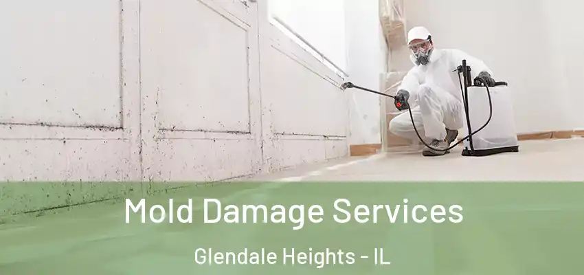 Mold Damage Services Glendale Heights - IL