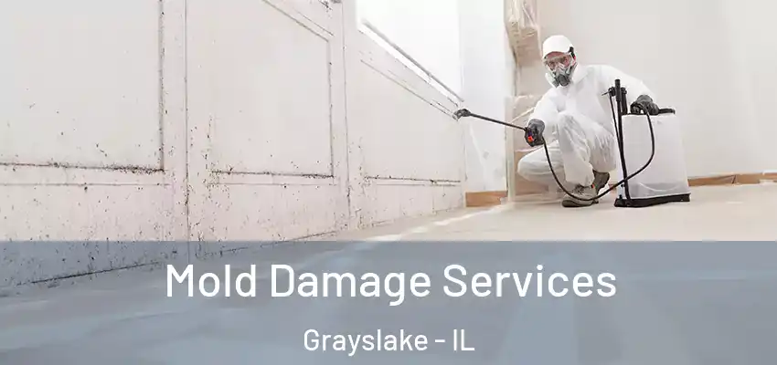 Mold Damage Services Grayslake - IL