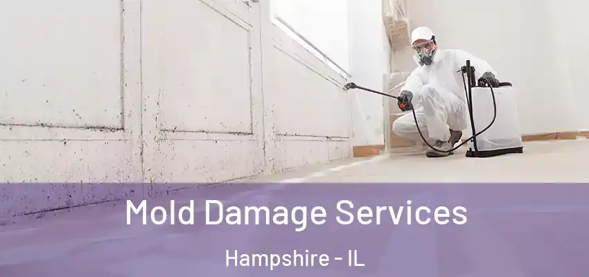  Mold Damage Services Hampshire - IL