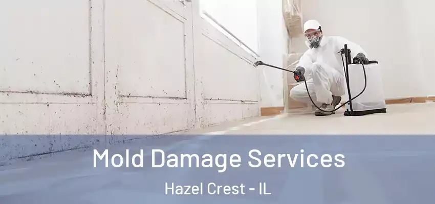  Mold Damage Services Hazel Crest - IL