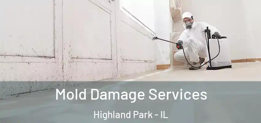 Mold Damage Services Highland Park - IL