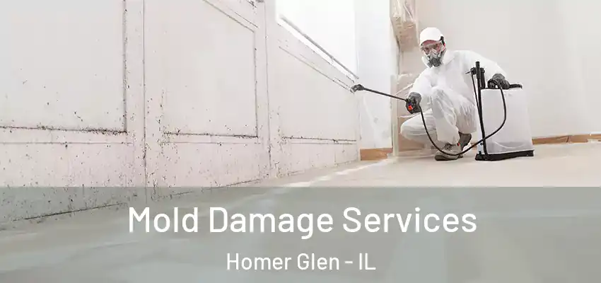  Mold Damage Services Homer Glen - IL