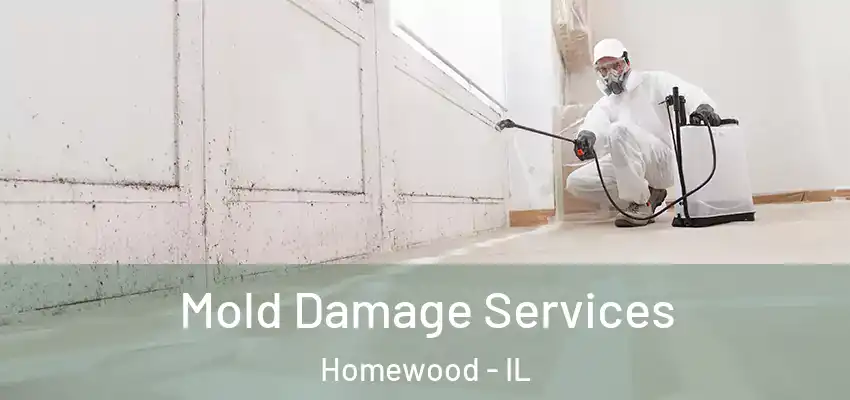 Mold Damage Services Homewood - IL