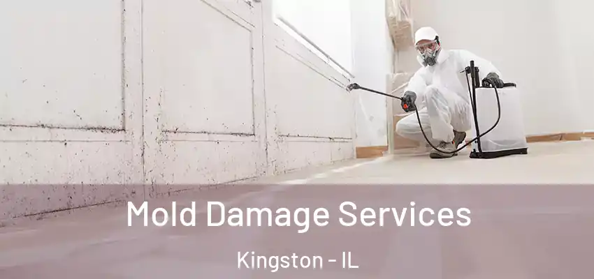 Mold Damage Services Kingston - IL