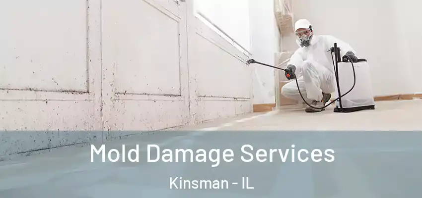  Mold Damage Services Kinsman - IL
